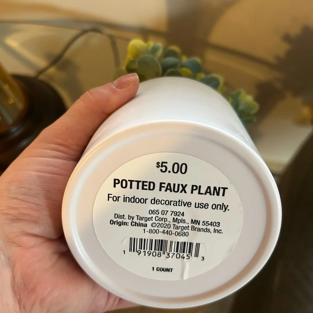 Target Bullseye Artificial Greenery in White Pot